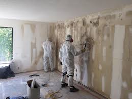  San Juan Bautista, CA Mold Inspection Pros